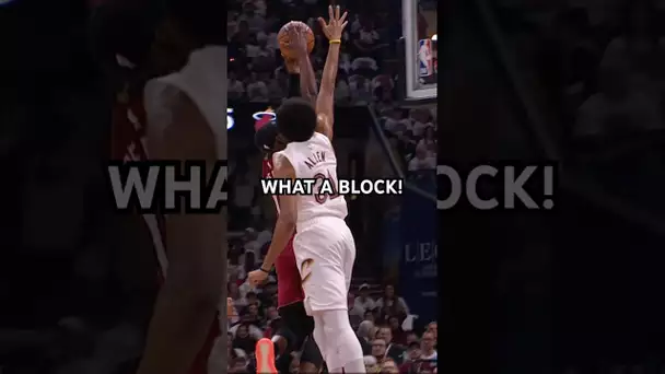 Jarrett Allen meets Bam up top!