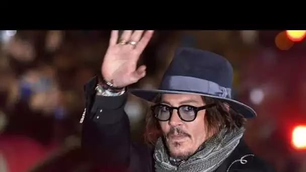 Johnny Depp jouera le rôle de Louis XV dans le prochain film de Maïwenn
