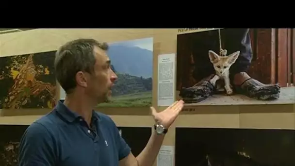 Rouen : les plus belles photos de nature du monde au muséum