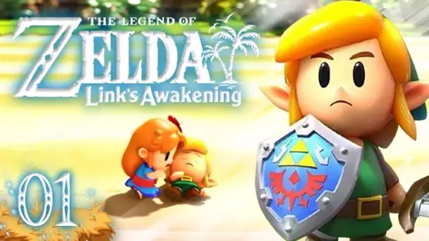 Zelda Link's Awakening HD : Le héros naufragé ! #01