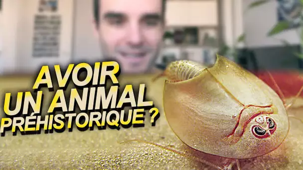 On m'a donné un animal préhistorique ?