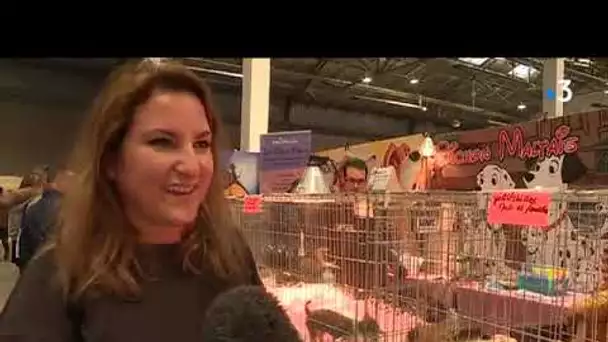 15e édition du salon des animaux 'Animal Mania' à Marseille