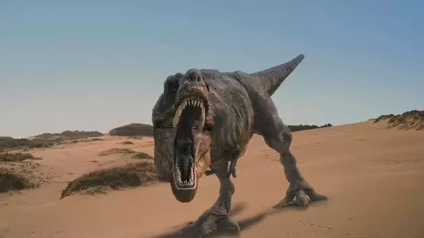 L'Epopée des dinosaures : Le Tyrannosaurus Rex - Documentaire