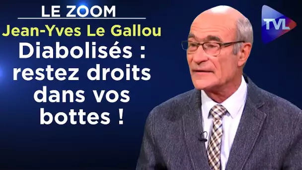 Jean-Yves Le Gallou - Diabolisés : restez droits dans vos bottes ! - Le Zoom - TVL