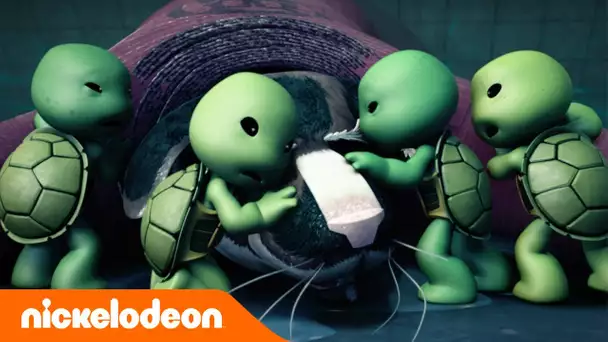 Les Tortues Ninja | Les Tortues Ninja bébés ! | Nickelodeon France