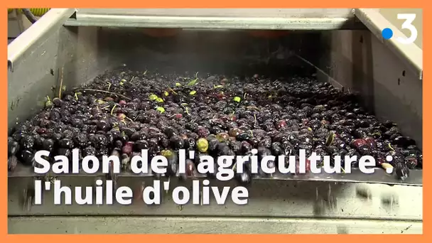 L'huile d'olive des Alpes de Haute Provence à l'honneur au salon de l'agriculture de Paris