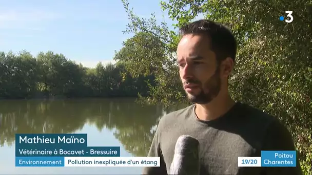 Deux-Sèvres : pollution de l'eau dans un étang à Clazay près de Bressuire