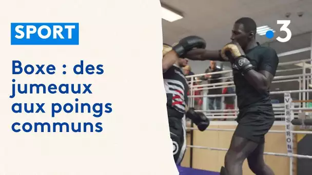 Boxe : les jumeaux havrais Kamara, sportifs aux poings communs