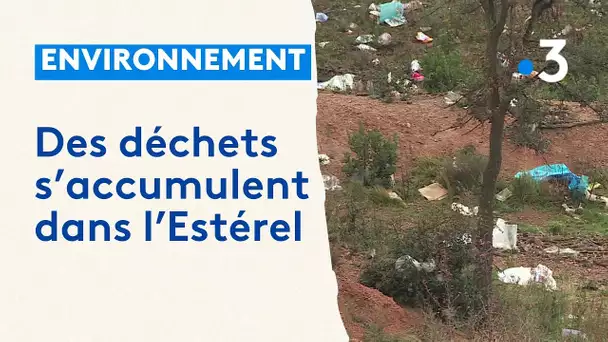 Dans le Var, des sacs plastiques s'envolent de la décharge et s'accumulent dans la forêt