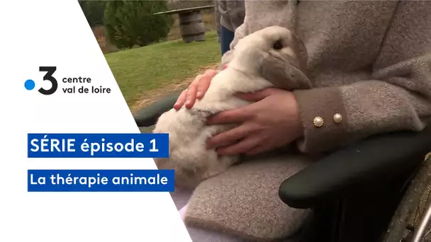 La thérapie animale : la ferme de Villedomer en Indre-et-Loire