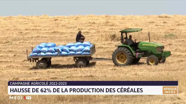 Campagne agricole 2022-2023 : hausse de la production des céréales