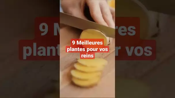 9 Meilleures plantes pour vos reins