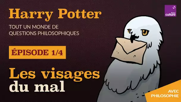 Les multiples visages du mal (1/4) | Harry Potter, tout un monde de questions philosophiques