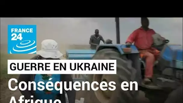 Crainte de famines en Afrique, conséquence directe de la guerre en Ukraine • FRANCE 24