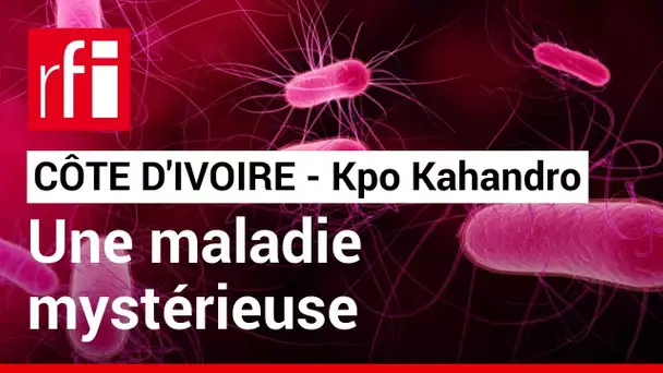 Côte d’Ivoire : le village de Kpo Kahandro traumatisé par une maladie mystérieuse et mortelle