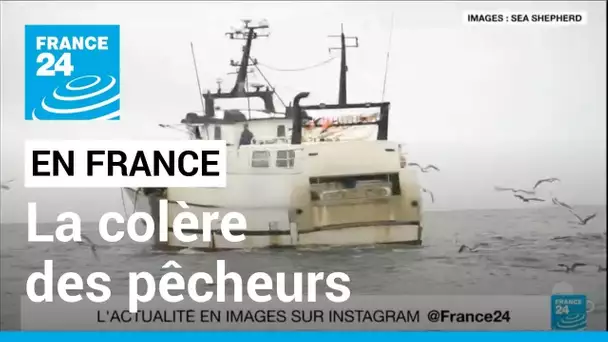 La colère des pêcheurs français : des appels à des journées mortes dans les ports • FRANCE 24