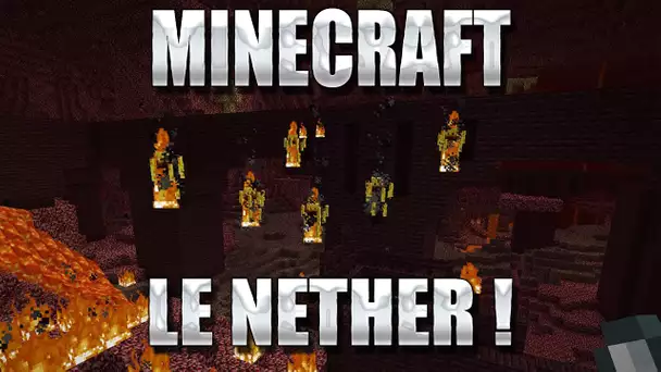 ZeratoR Fedetruk #123.2 : LE NETHER ! LA FORTERESSE !