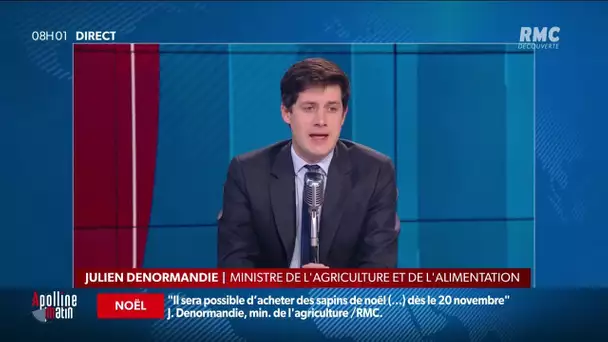 Vous pourrez acheter un sapin de Noël dès le 20 novembre