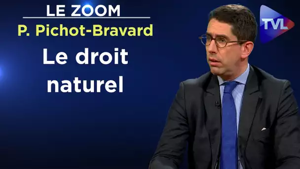 Le droit naturel - Le Zoom - Philippe Pichot-Bravard - TVL