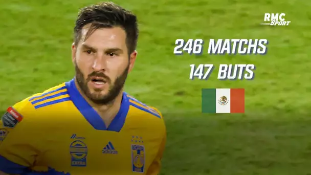 "Gignac est en train de vivre une histoire merveilleuse" au Mexique se réjouit Di Meco