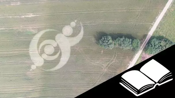 🚀VLOG - Les Crop Circles... Epilogue