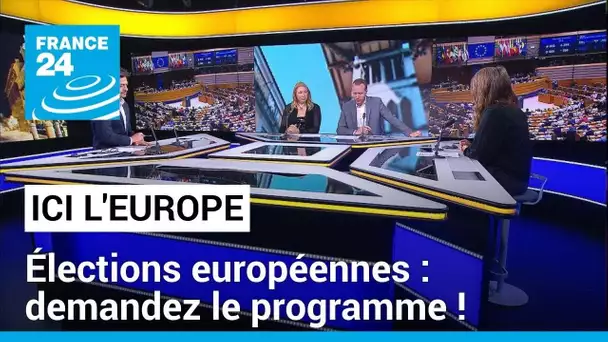 Dernière ligne droite avant les élections européennes : demandez le programme ! • FRANCE 24
