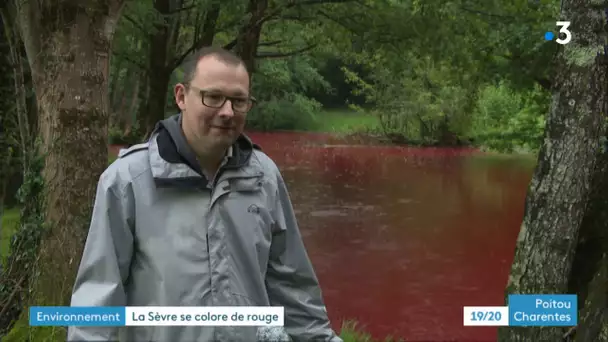 Deux-Sèvres : pourquoi les eaux de la Sèvre Niortaise sont-elles devenues rouges ?
