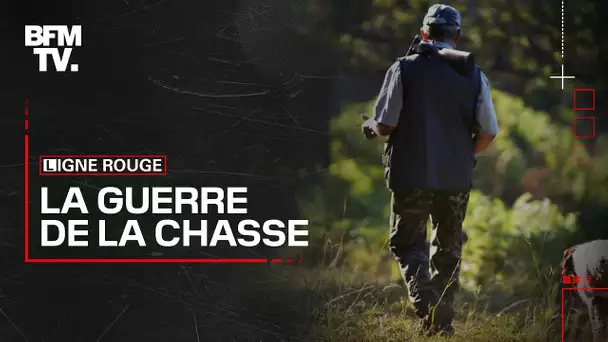 "La guerre de la chasse" : revoir l'enquête de BFMTV