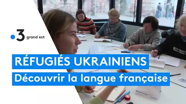 Guerre en Ukraine : des cours pour apprendre le français et sa culture
