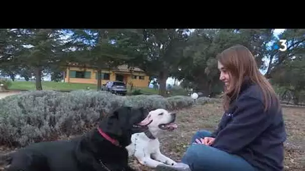 La Catalogne se préoccupe du bien-être animal