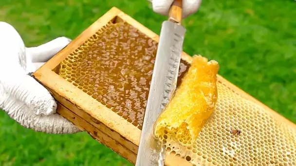 Comment est fabriqué le miel ?