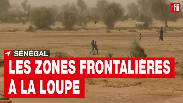 Sénégal : le Timbuktu Institute s’intéresse aux zones frontalières et à leurs vulnérabilités • RFI