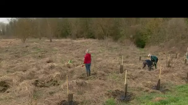 Jaunay-Marigny : ils sèment la forêt