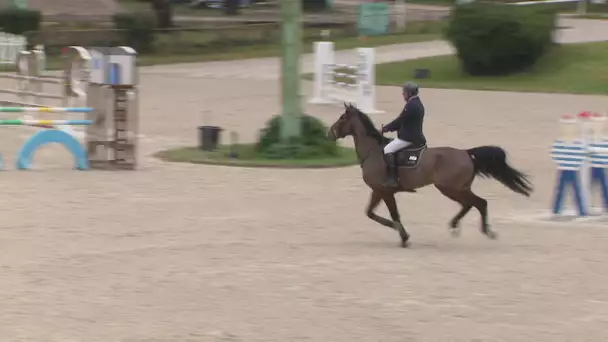 Royan, capitale du cheval, accueille le jumping international