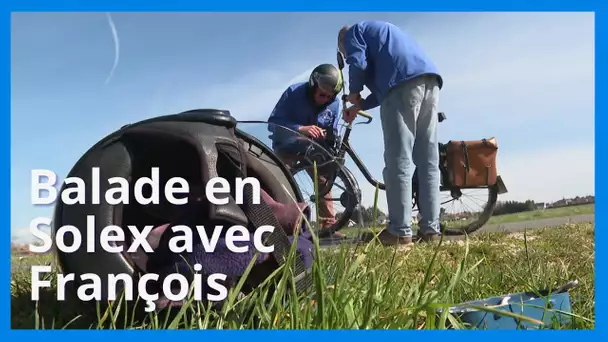 Rencontre avec un collectionneur de Solex