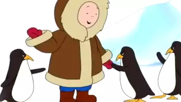 Caillou et les Pingouins | Caillou en Français