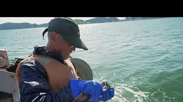 Après le tsunami de 2011, les pêcheurs japonais se tournent vers l'avenir