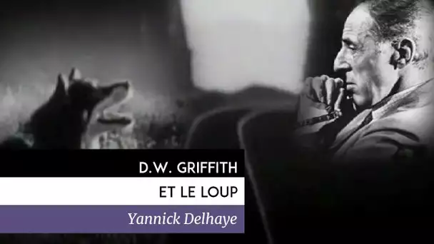 D. W. Griffith et le loup (Yannick Delhaye, 2011) - Documentaire HD Français