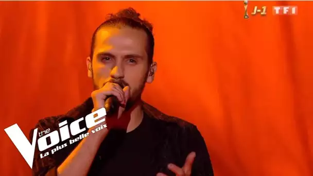 Michael Jackson - Earth Song | Clément | The Voice 2019 | Final