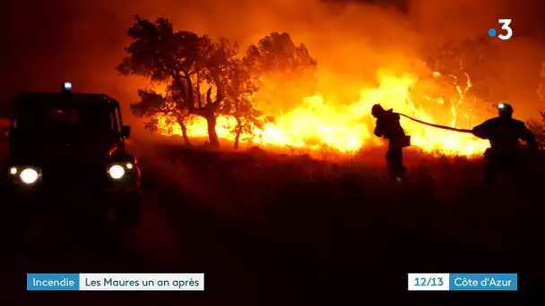 Incendie dans le massif des Maures : 1 an après