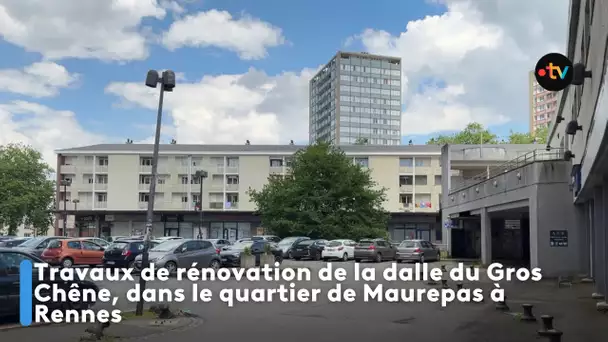La dalle du Gros-chêne - au coeur des transformations du quartier Maurepas