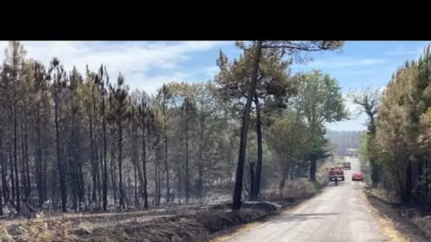Un violent incendie ravage 150 hectares de forêt à Boisbreteau en Charente