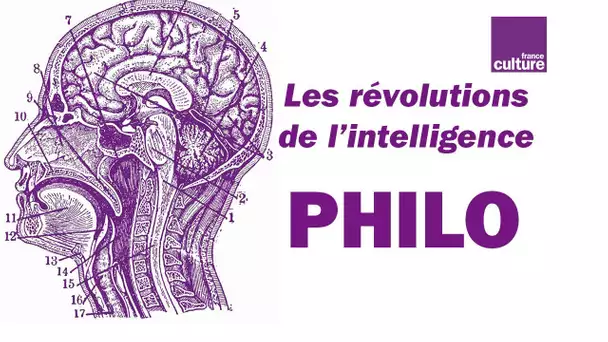 A quoi ressemble le cerveau des philosophes ?