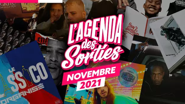 Les sorties d'albums du mois de Novembre 2021 !