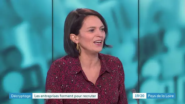 Extrait du 19-20 du 2/12  : les formations internes dans les entreprises qui peinent à recruter