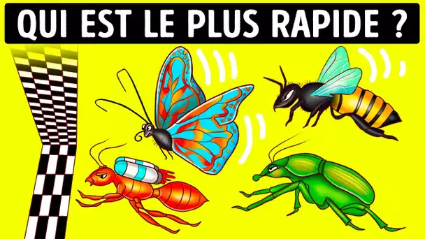 Vous ne croirez pas qui sont les insectes les plus rapides | Faits étranges sur les animaux !