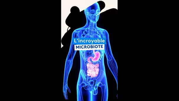 L'importance du microbiote