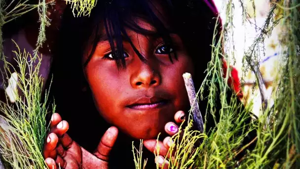 Les enfants du désert - Thelma, enfant de Punta Chueca