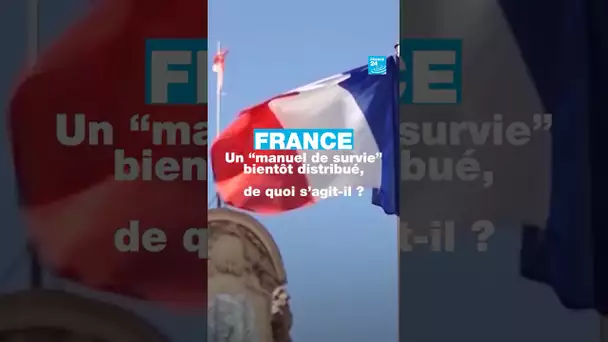 France : un "manuel de survie" bientôt distribué, de quoi s’agit-il ? • FRANCE 24