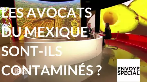 Envoyé spécial. Les avocats mexicains sont-ils contaminés ? 21 sept. 2017 (France 2)